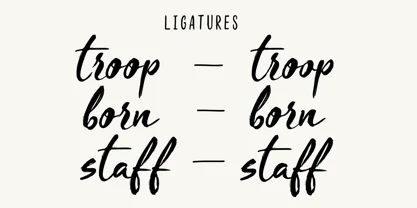 Blooms Script Font Font