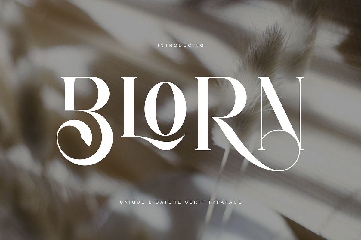 BLORN UNIQUE SERIF TYPEFACE Free Download Free Download