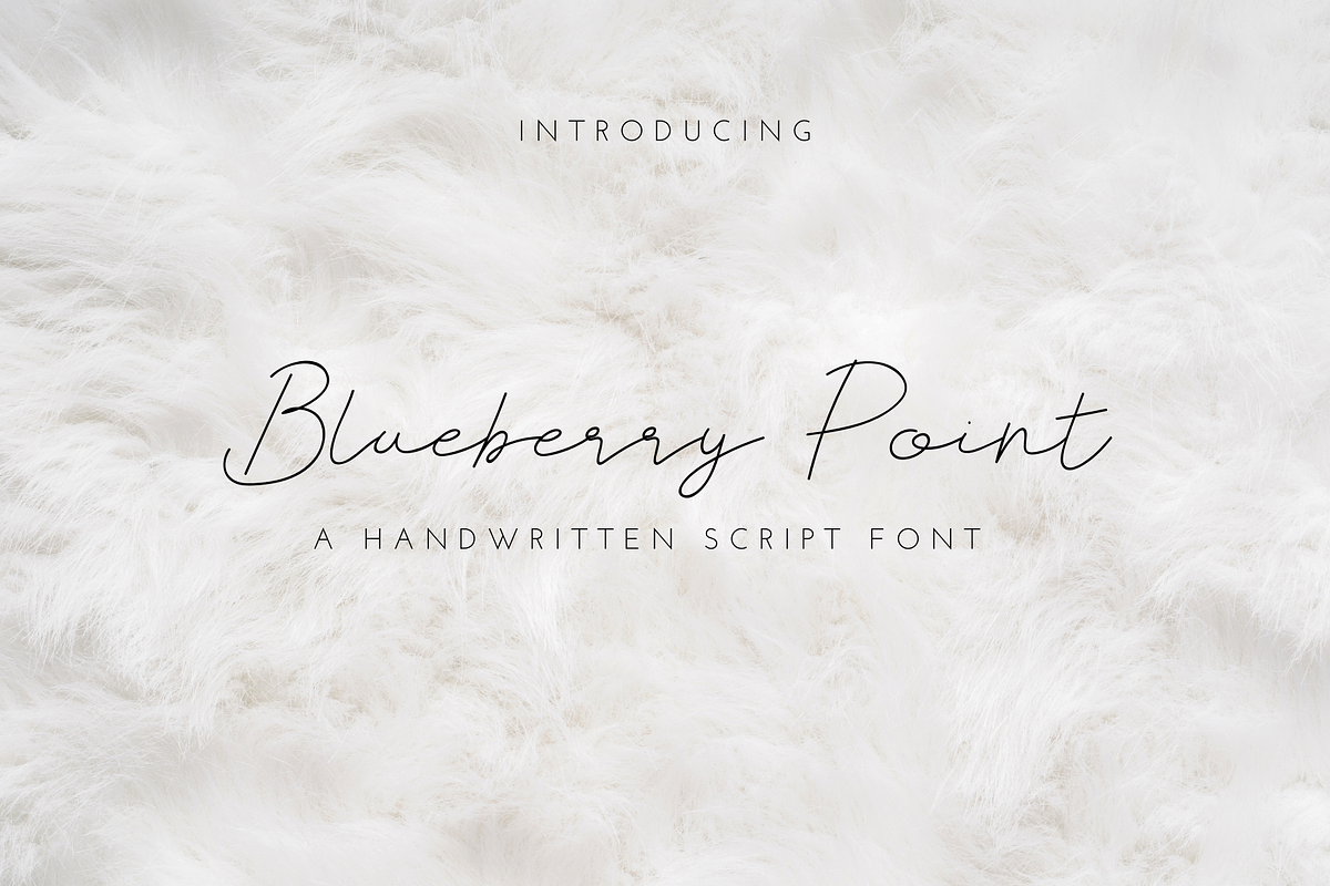 Blueberry Point Free Download Free Download