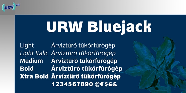 Bluejack Font Free Download