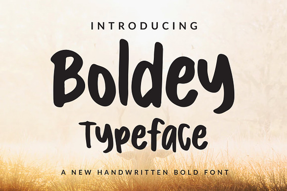 Boldey Typeace - A New Handwritten B Font Free Download