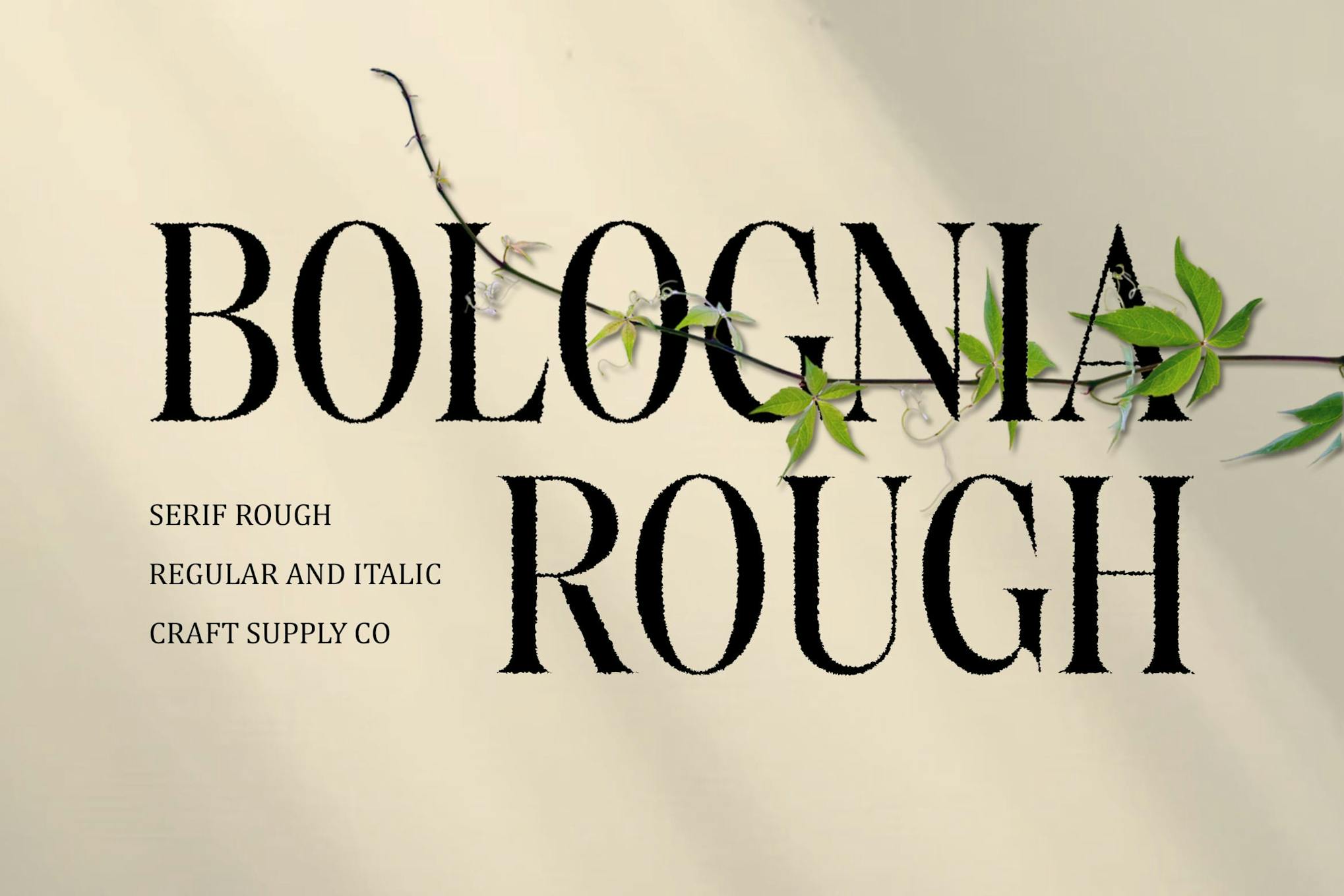 Bolognia Rough Font Free Download