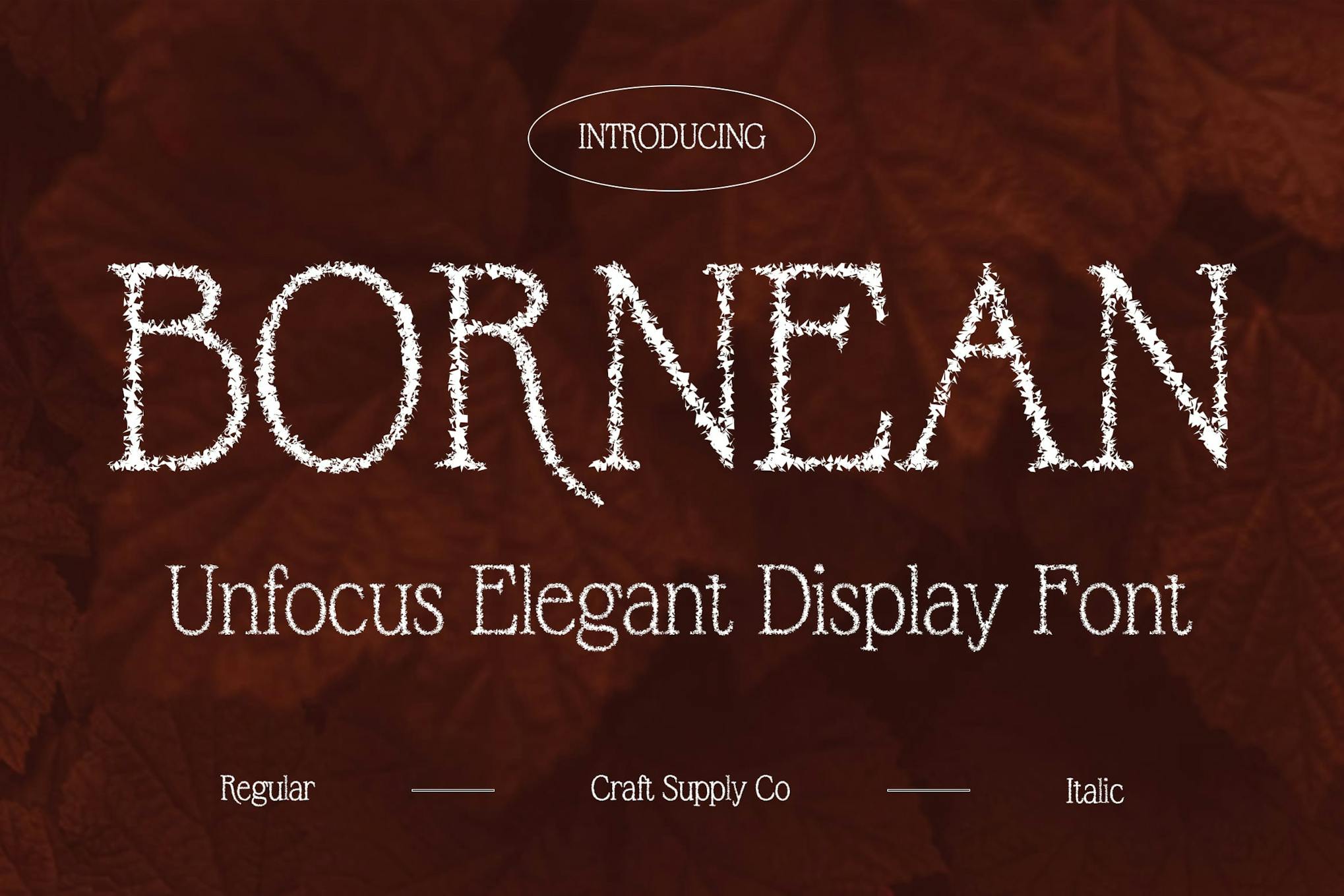 Bornean Unfocus Font Free Download