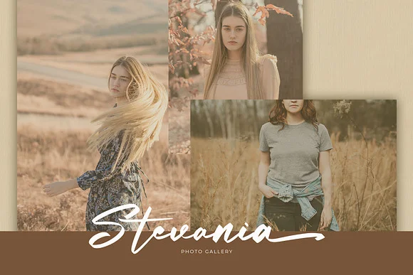 Bottamkia Brush Script Font
