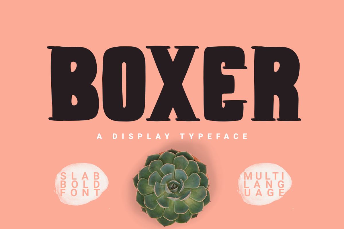 Boxer Typeface Free Download Free Download