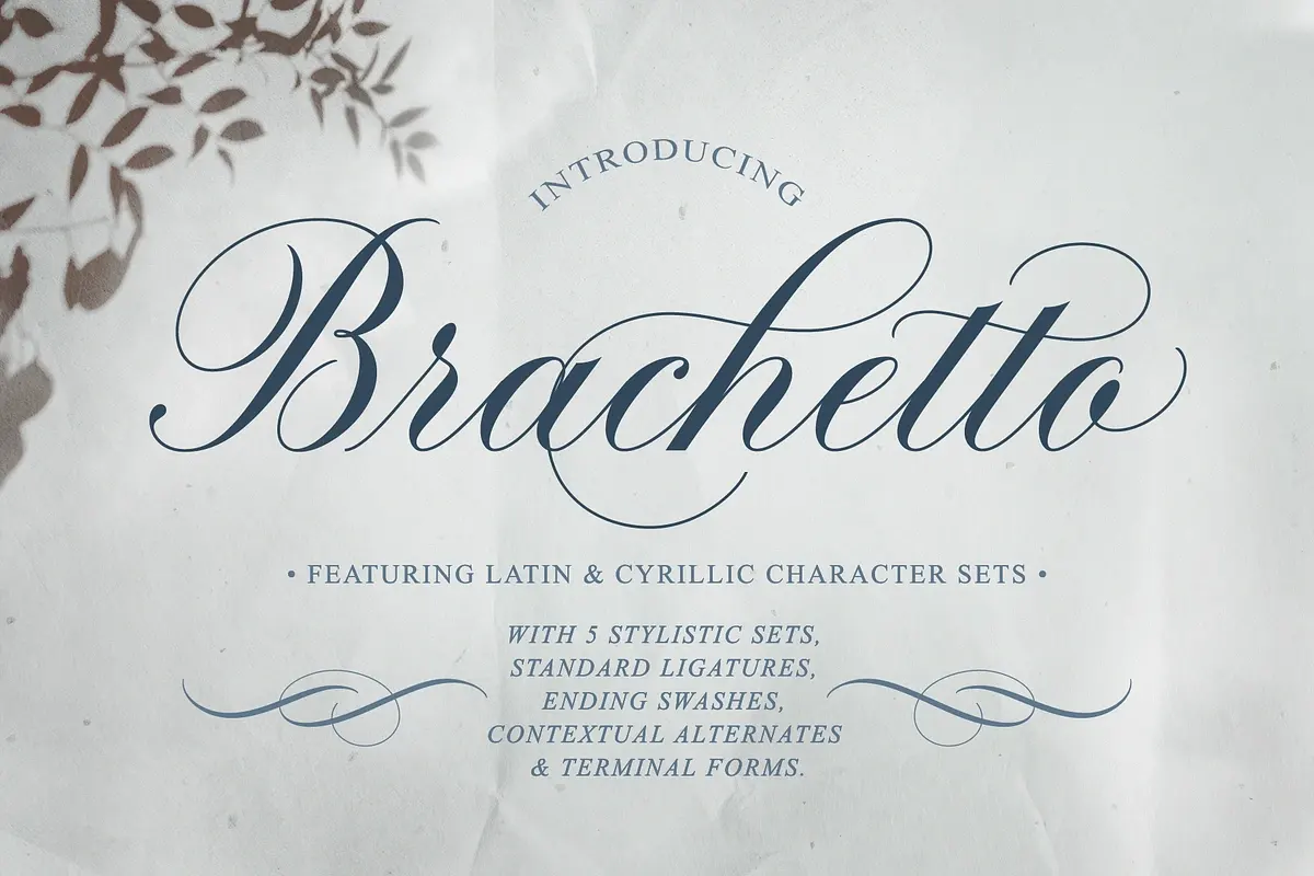 Brachetto Script Font Free Download Free Download