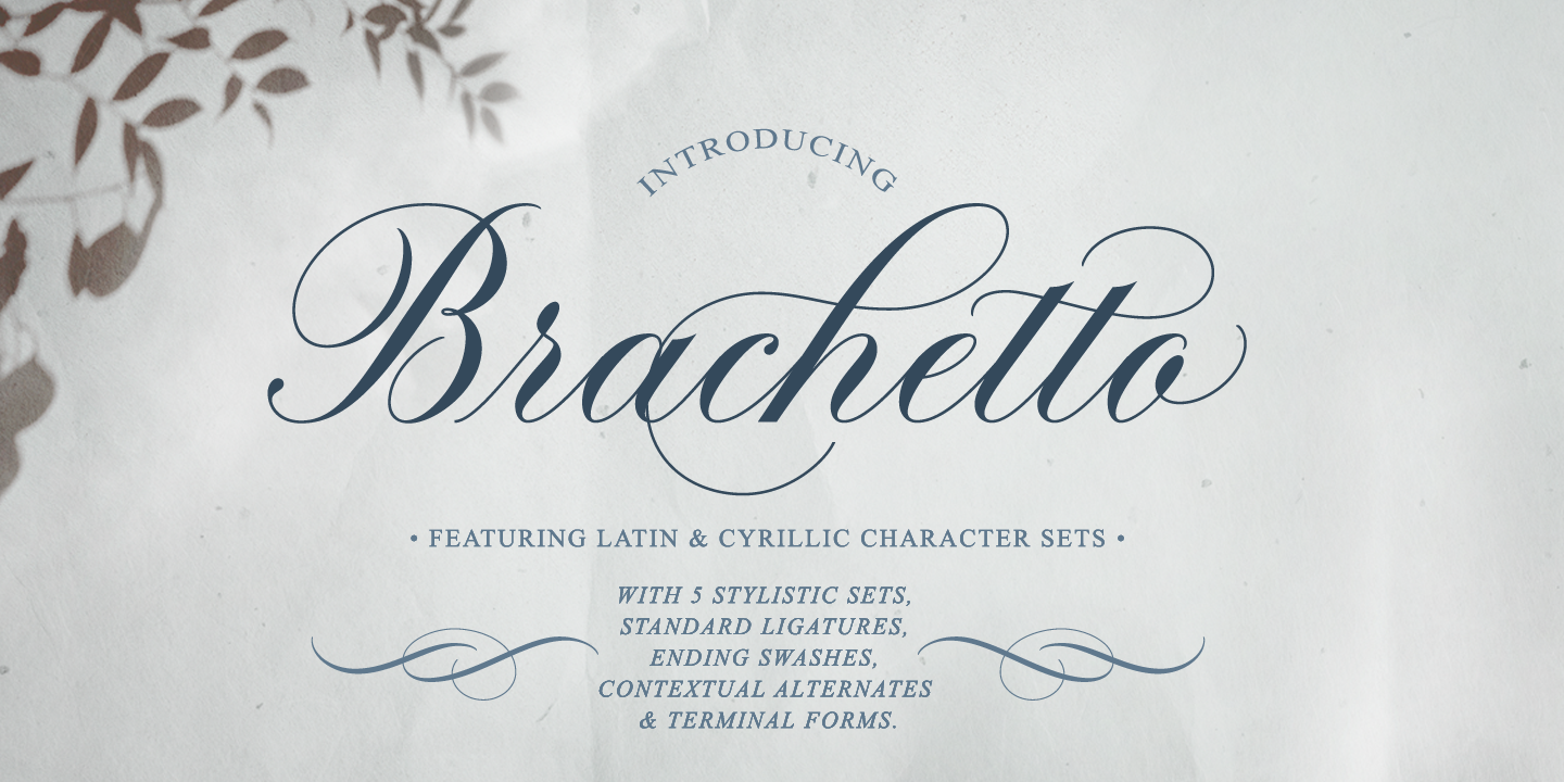 Brachetto Free Download Free Download