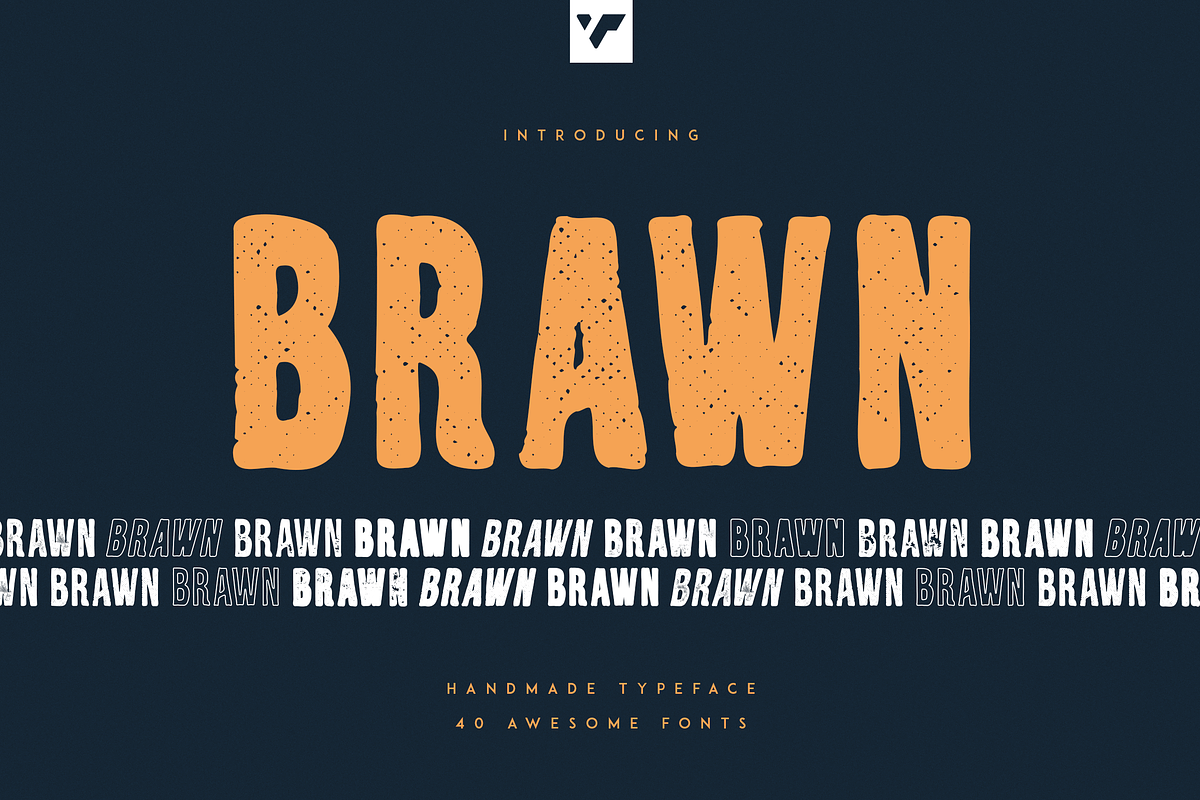 Brawn Handwritten typeface, 40 fonts Free Download Free Download