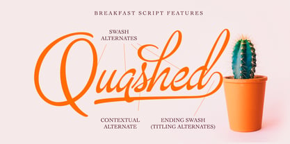 Breakfast Script Font Free Download