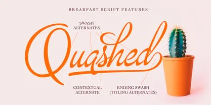 Breakfast Script Font