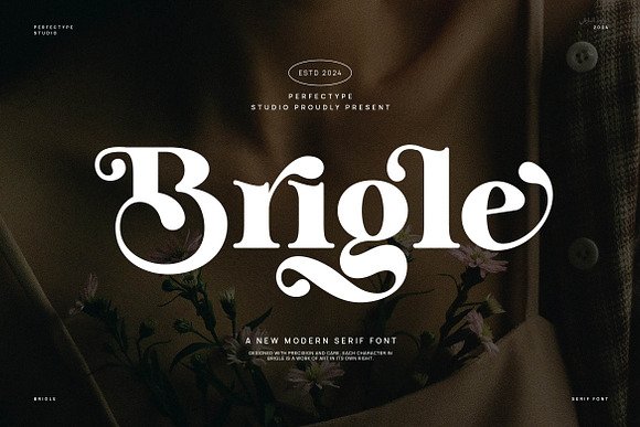 Brigle Serif Font Free Download