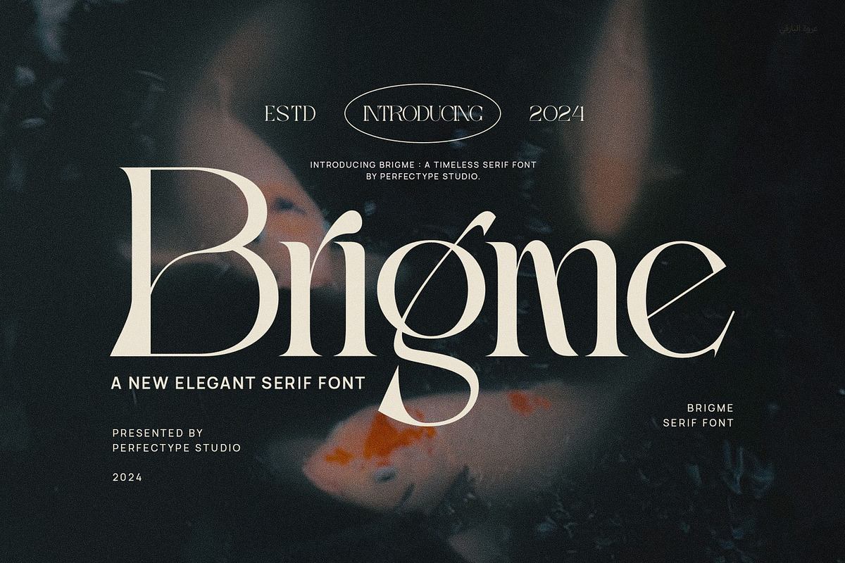 Brigme Elegant Serif Font Typeface Free Download Free Download