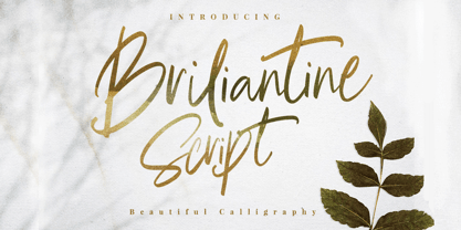 Brilliant Beautiful Script Font Free Download