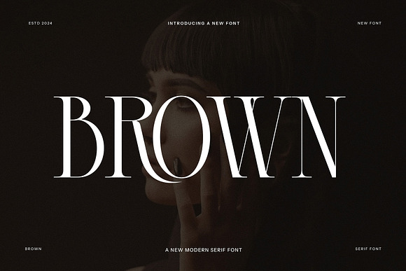 BROWN Modern Serif Font Free Download