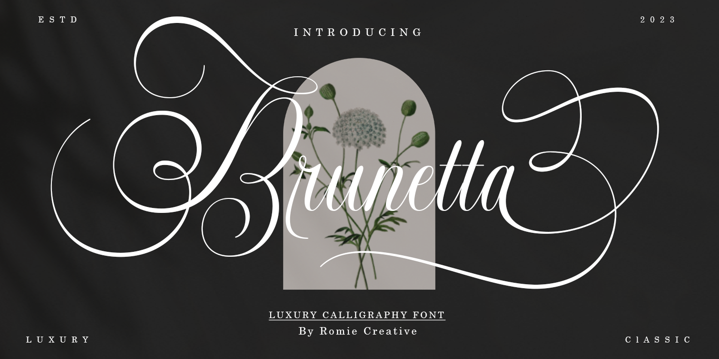 Brunetta Calligraphy Free Download Free Download