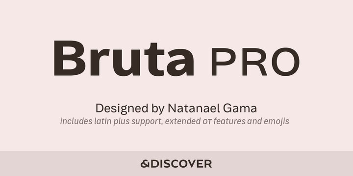 Bruta Pro Font Free Download