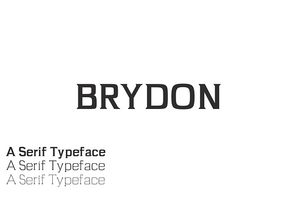 Brydon Serif 3 Font Family Pack Free Download