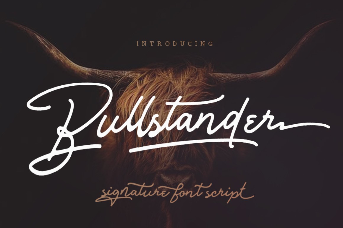 Bullstander Font Free Download