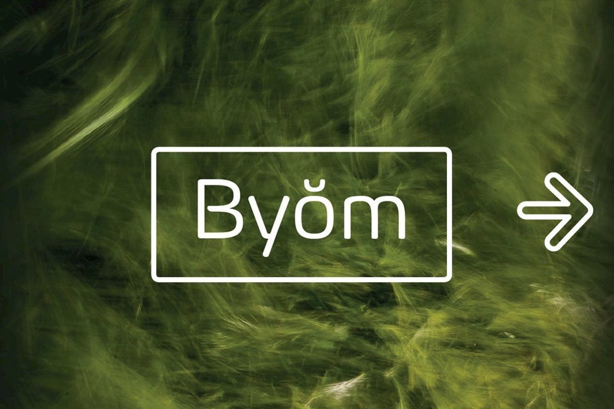 Byom - 4 fonts + 1 icons set Free Download Free Download