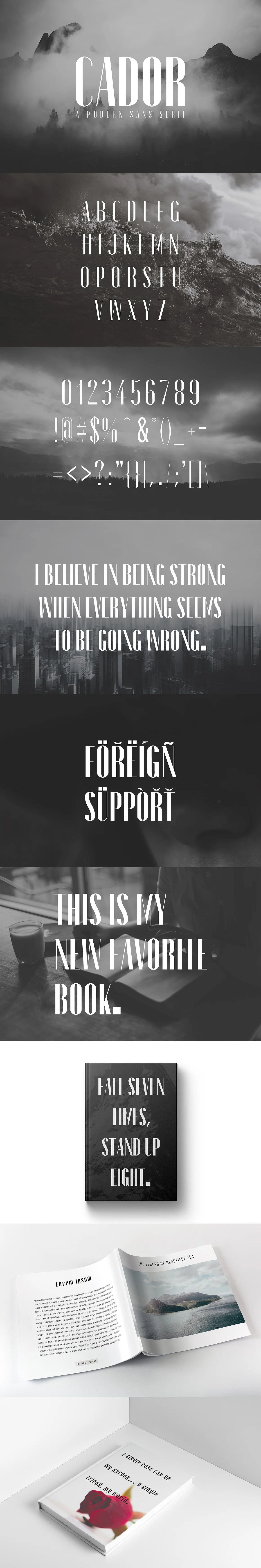 Cador Sans Serif Font Family Pack