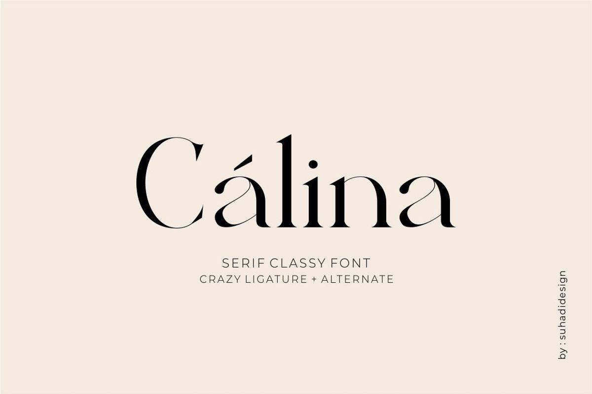 Calina serif classy font Free Download Free Download