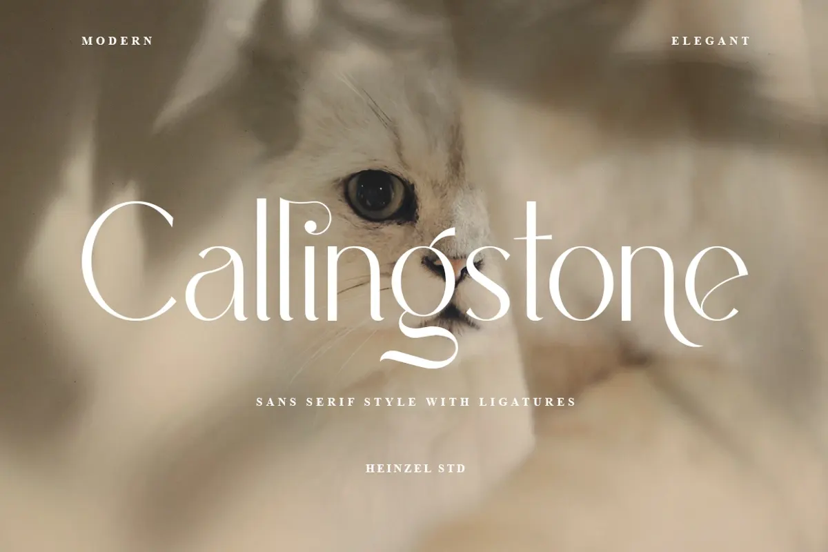 Callingstone Modern Sans Serif Font Free Download Free Download