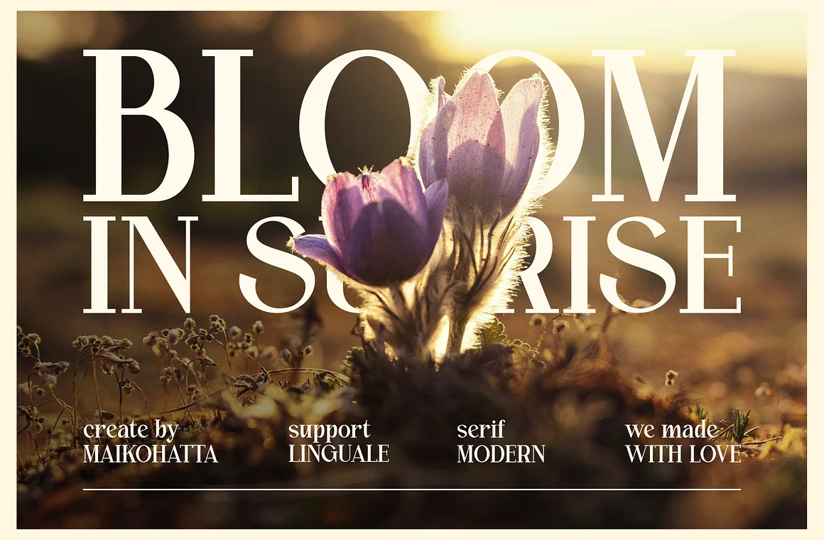 Calvine - Modern Serif Font Typeface