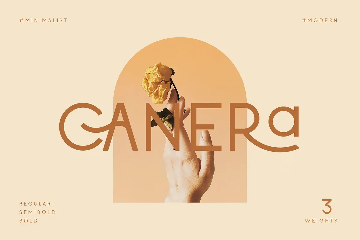 Canera - Simple Elegant Typeface Free Download Free Download