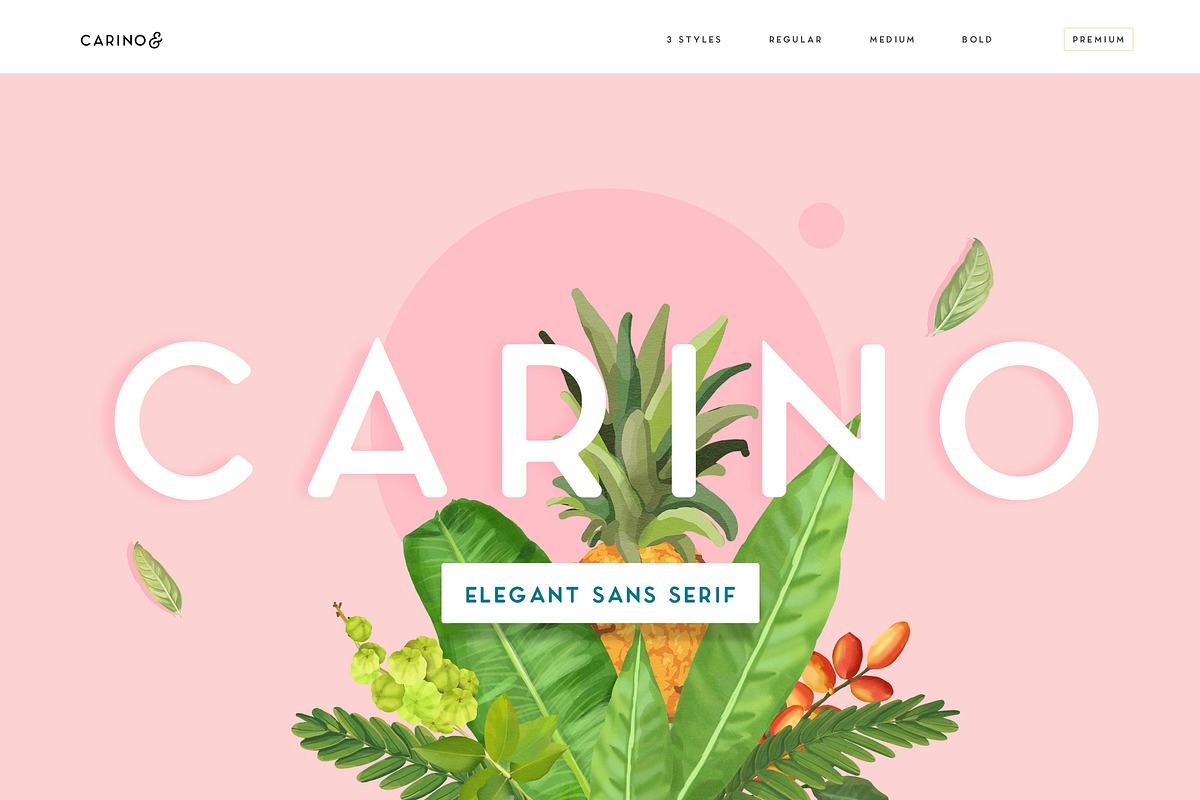 Carino - A Modern Elegant Typeface Free Download Free Download