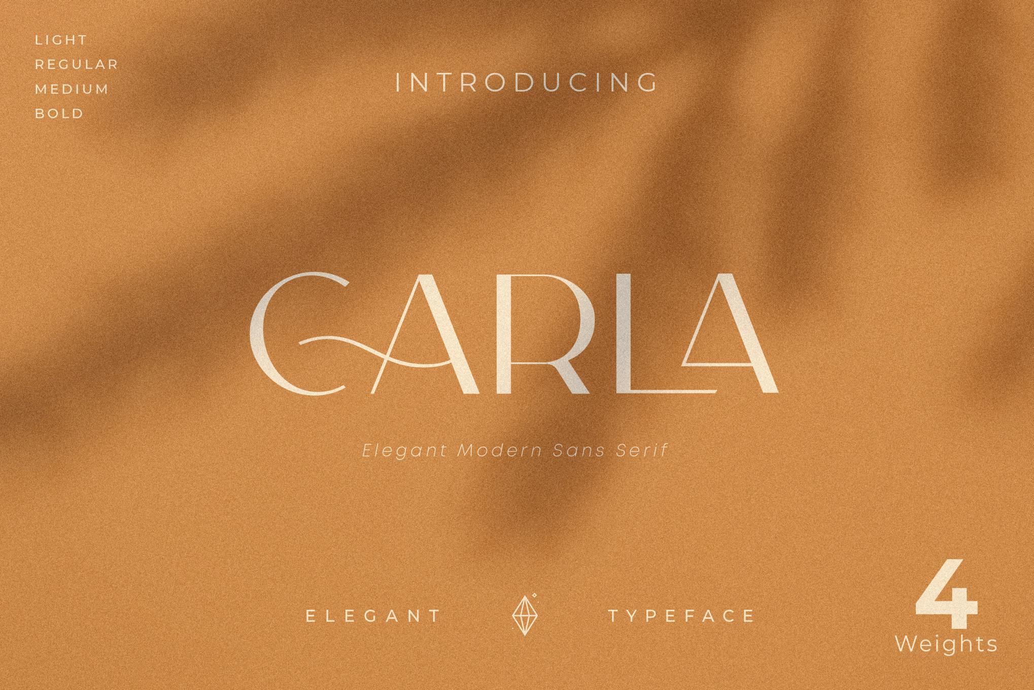 Carla Sans - Elegant Typeface Font Free Download