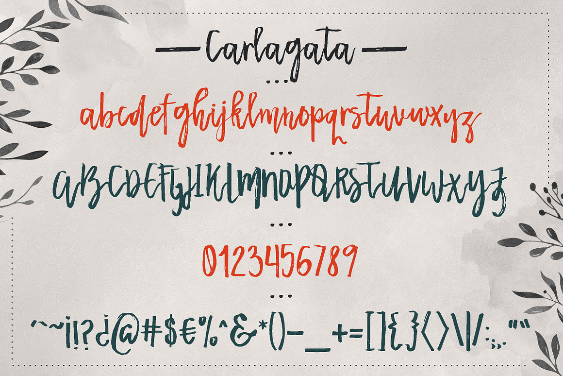 Carlagata Font Free Download