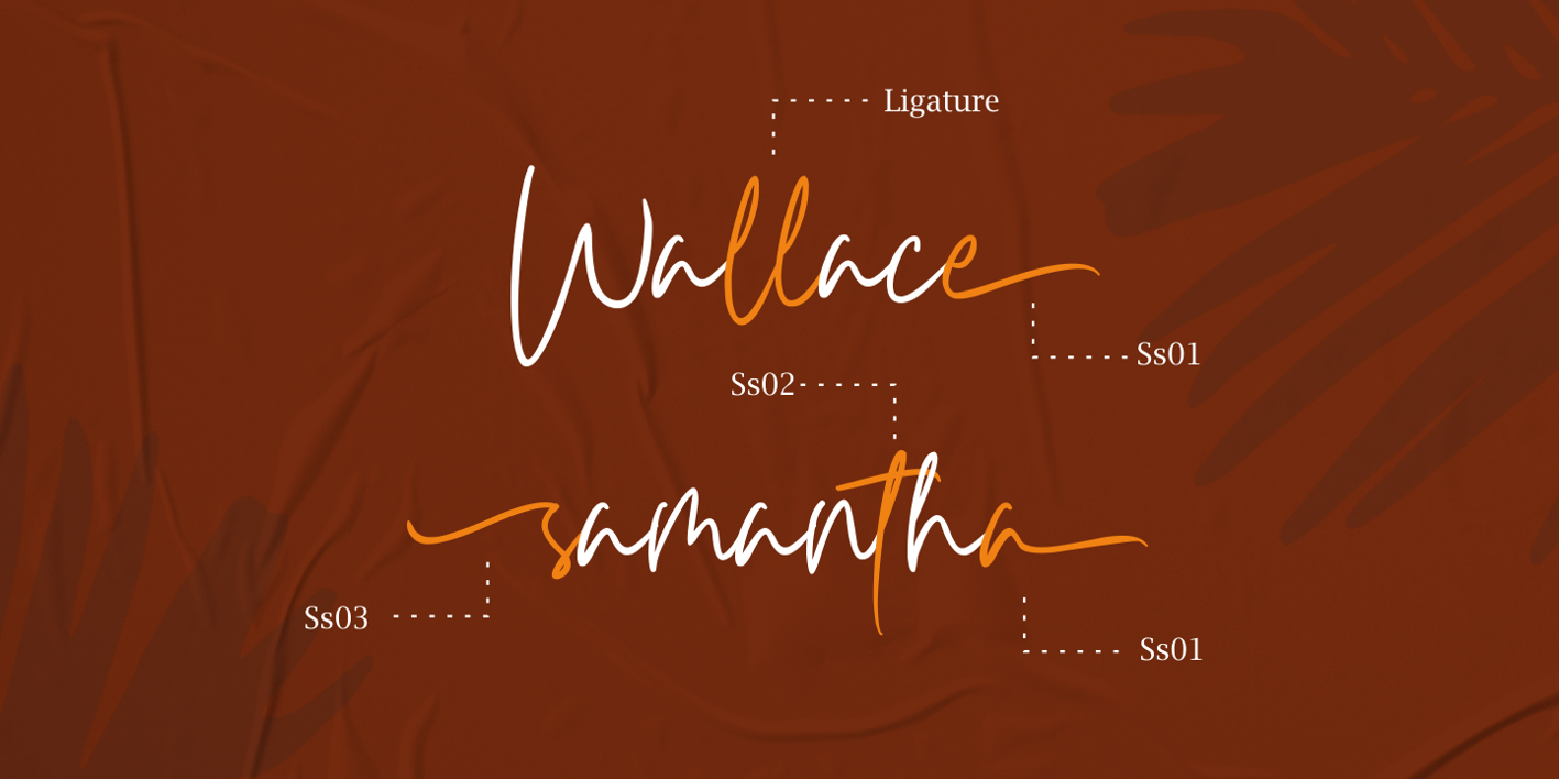 Carnollia Signature Font Free Download