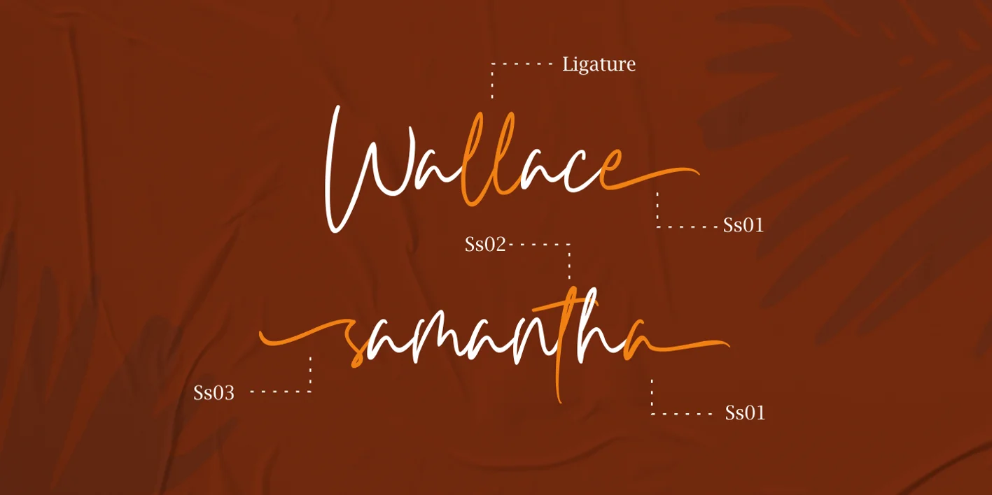 Carnollia Signature Font