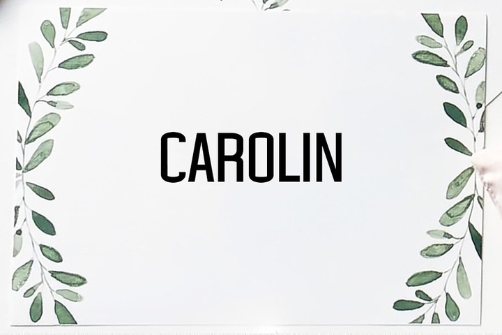 Carolin Duo 5 Font Family Pack Free Download