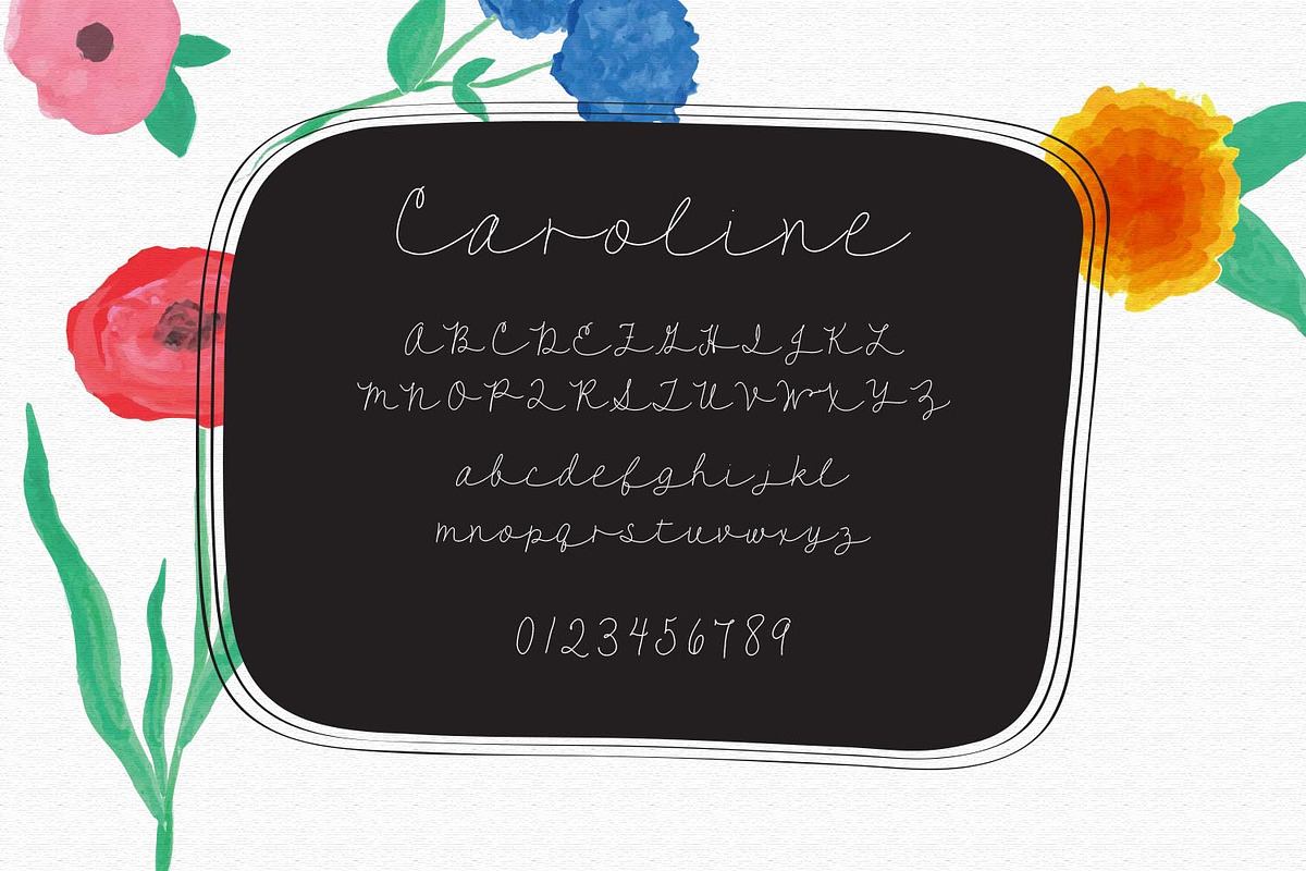 Caroline - A Script Font Free Download Free Download