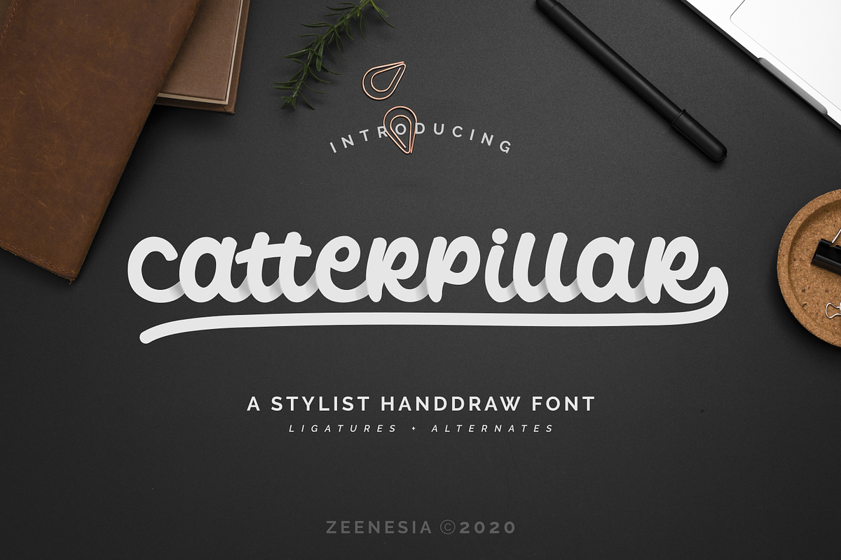 Catterpillar - A Stylist Font Free Download Free Download