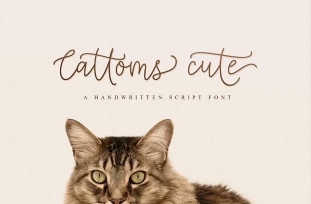 Cattoms Cute Font Free Download