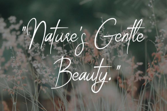 Celestial Grace Font Free Download