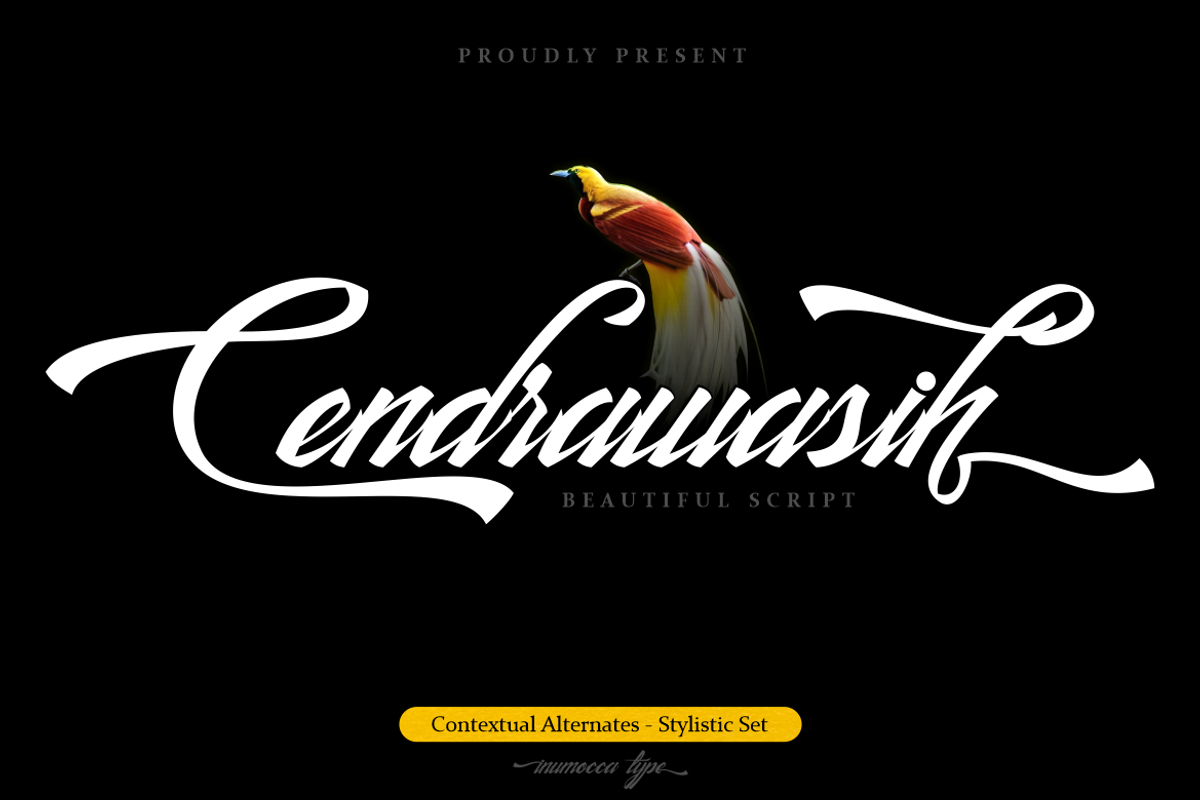 Cendrawasih Free Download Free Download