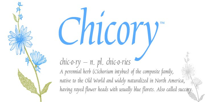 Chicory Font Free Download