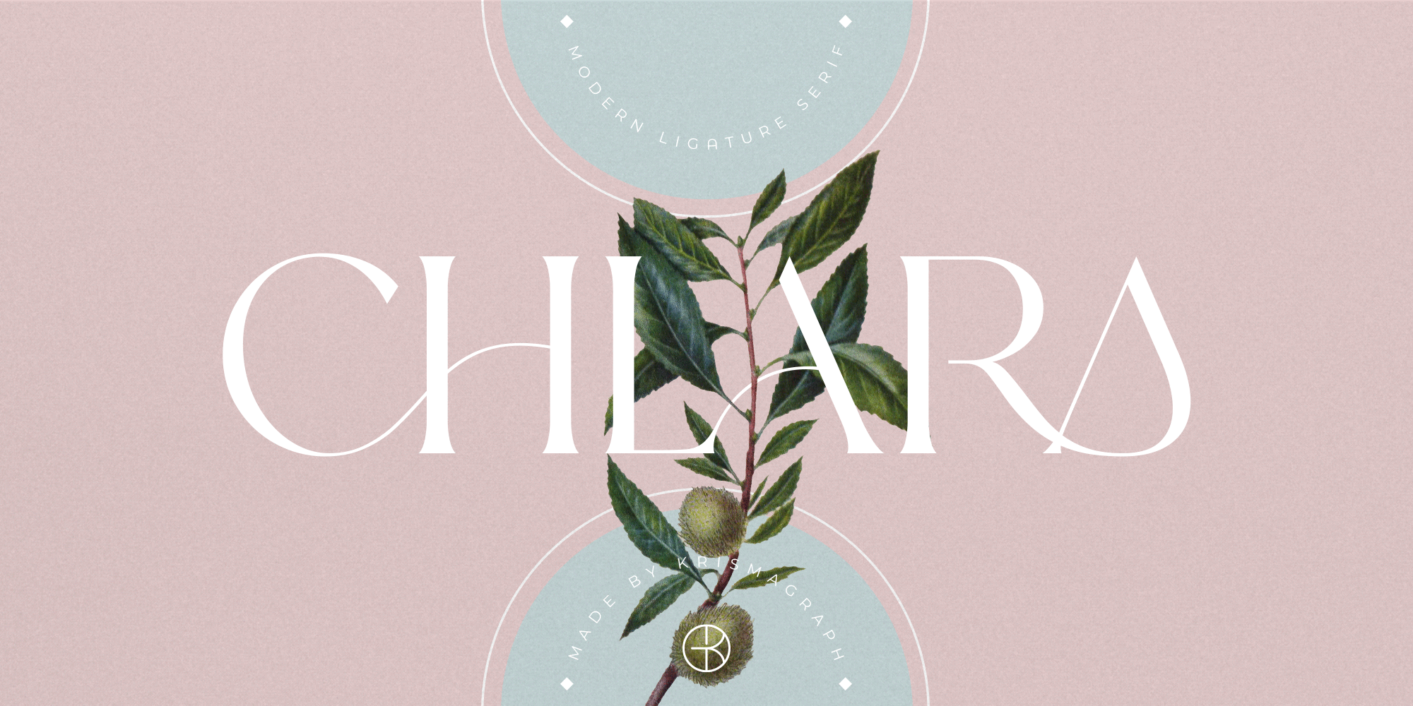 Chlara Typeface Free Download Free Download