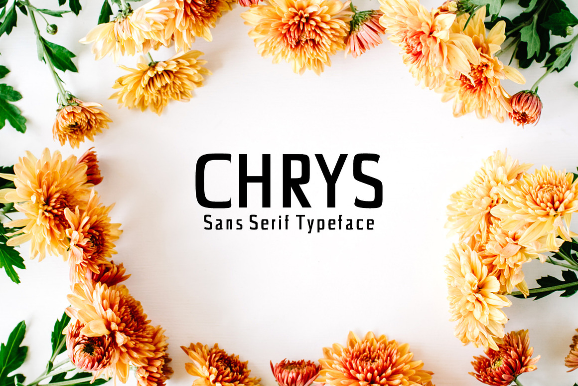 Chrys Sans Serif Font Family Pack Free Download