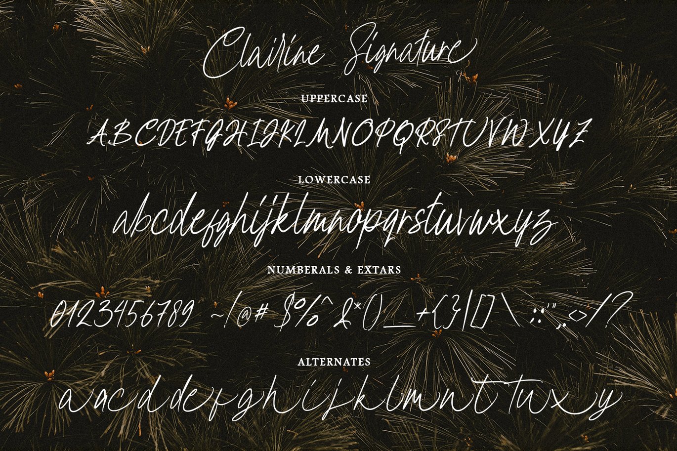 Clairine Signature Font Free Download