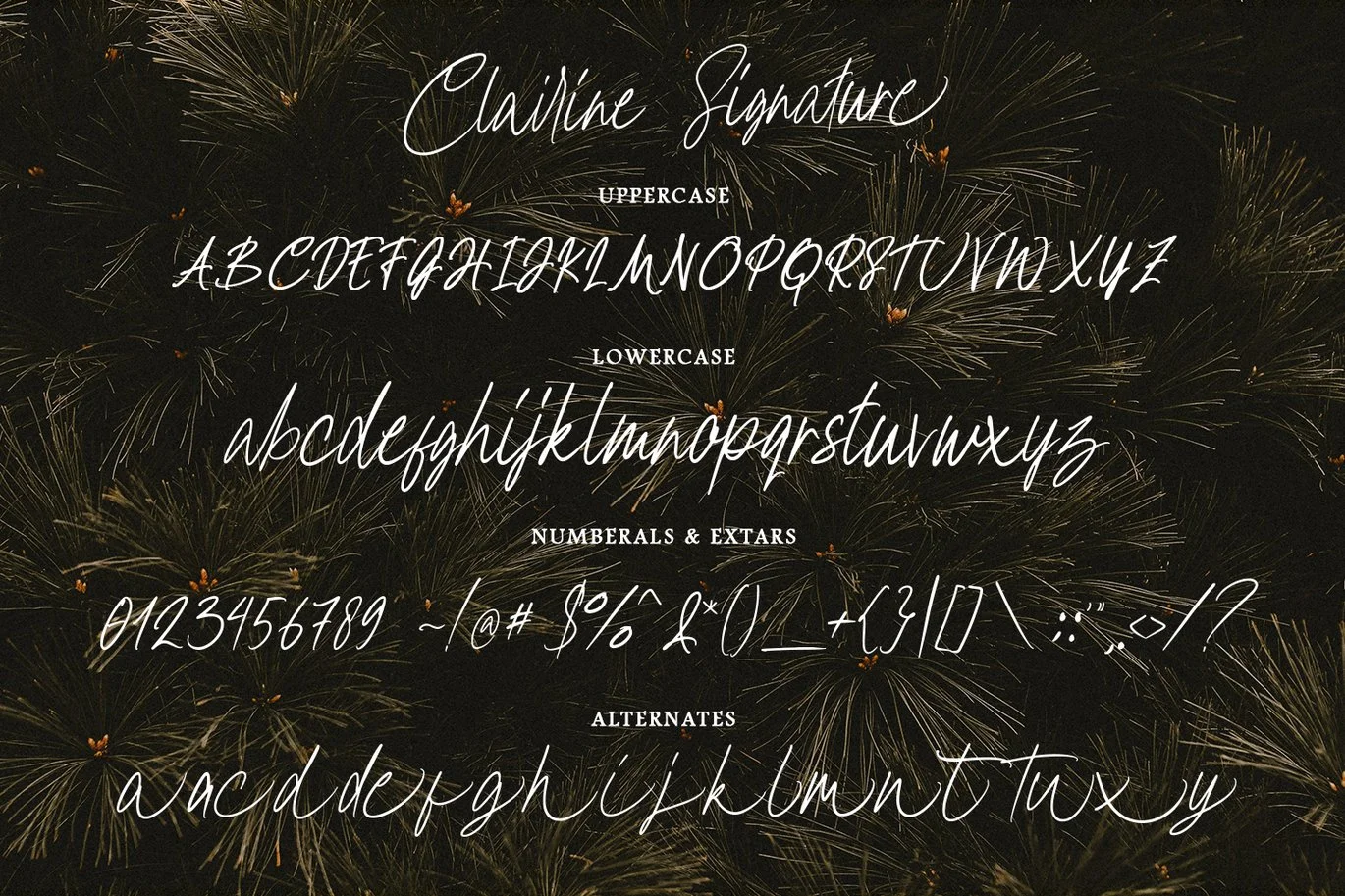 Clairine Signature Font