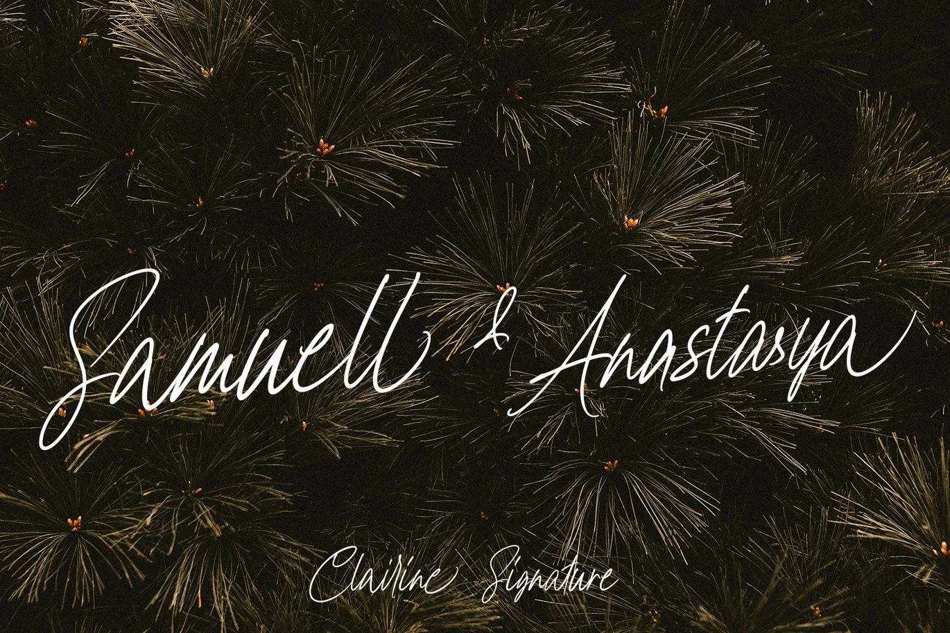 Clairine Signature Font