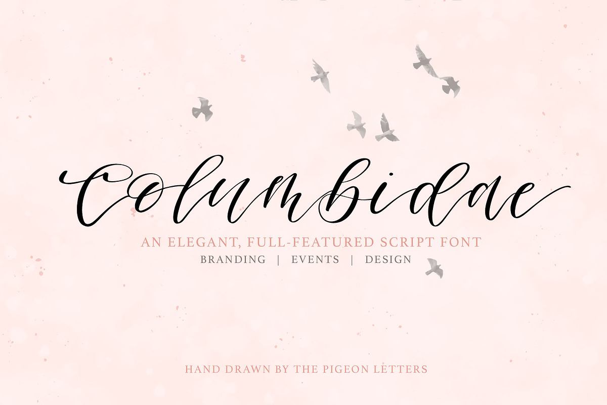 Columbidae Elegant Calligraphy Font Free Download Free Download