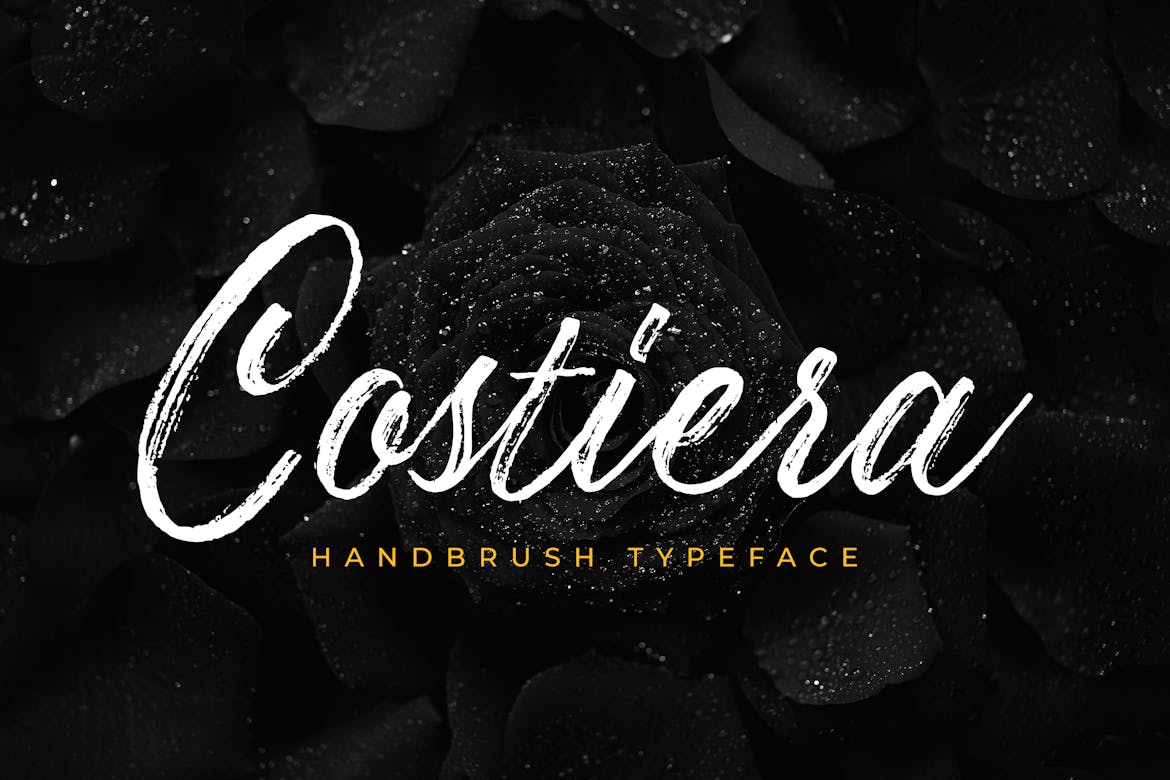 Costiera - Elegant Hanbrush Font Free Download