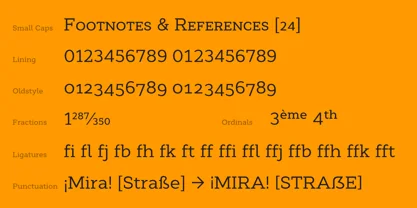 Cyntho Next Slab Font