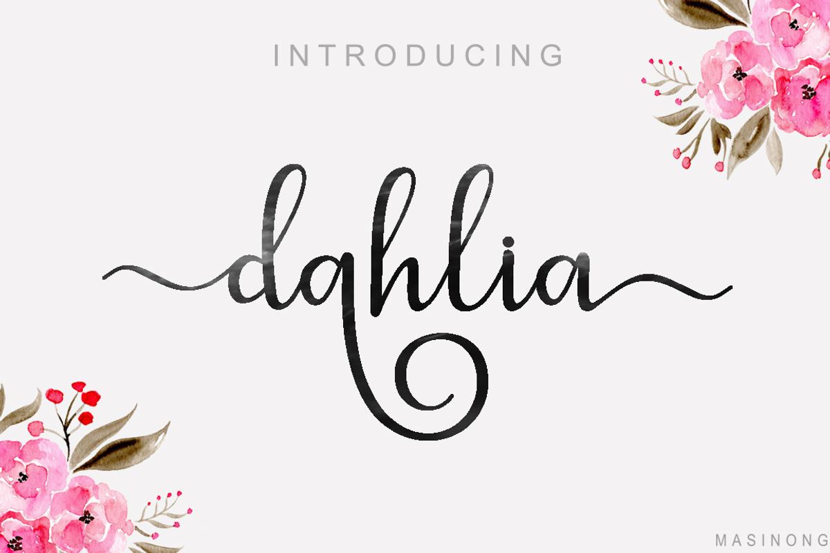 dahlia script Free Download Free Download