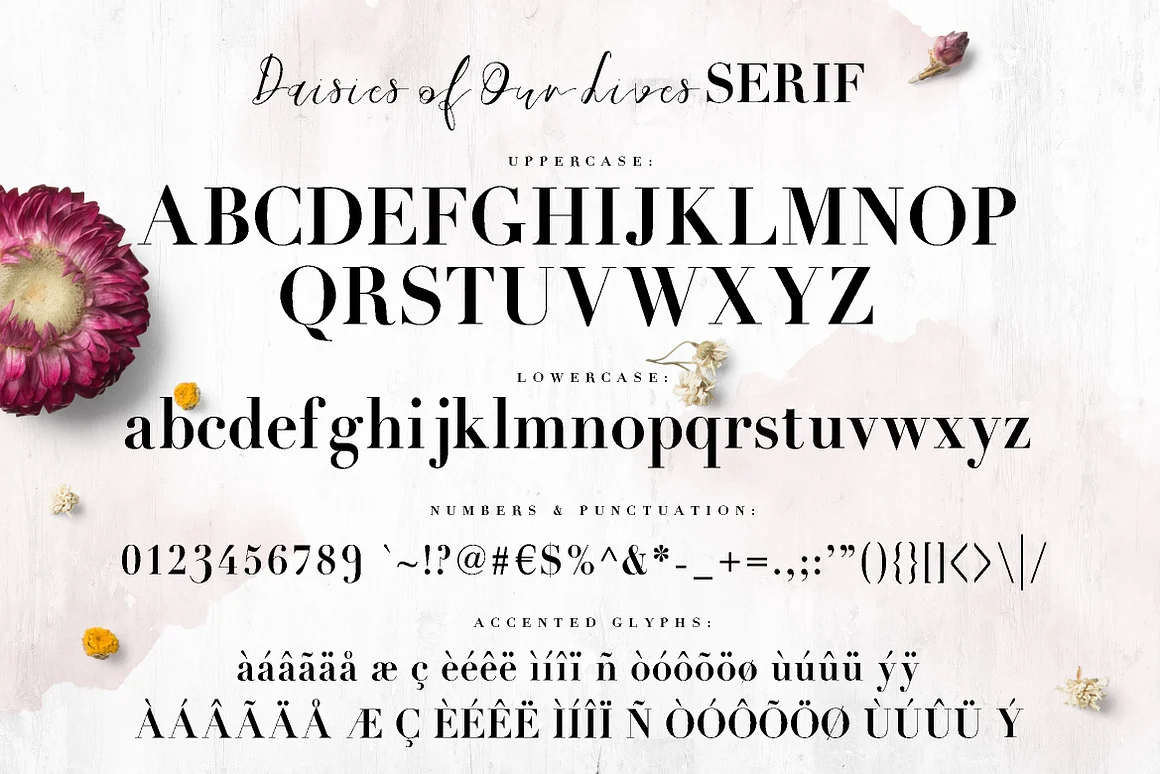 Daisies of Our Lives Font